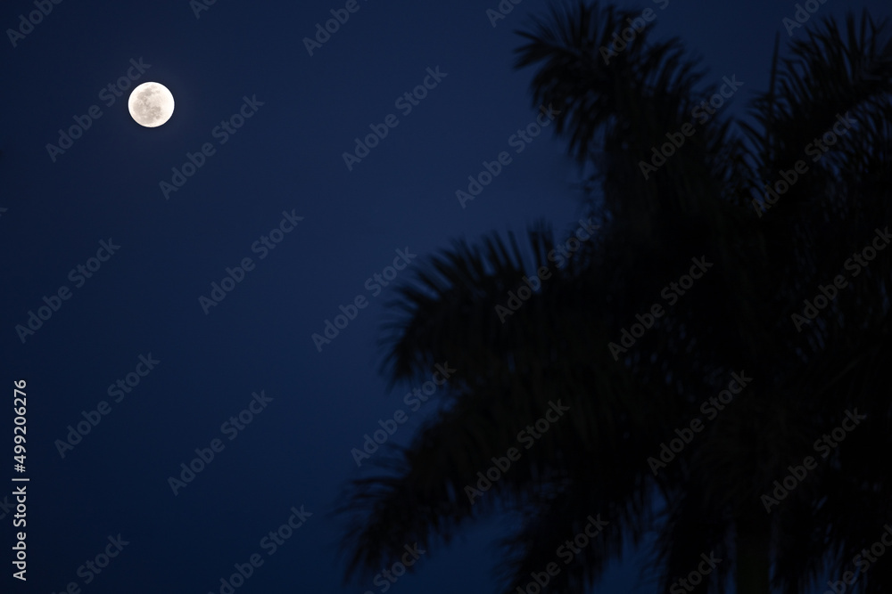 Luna Moon Good FRIDAY