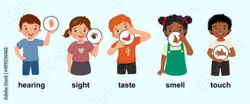 cute little children boys and girls holding showing five senses posters with icons representing hearing, sight, taste, smell, touch as human body parts