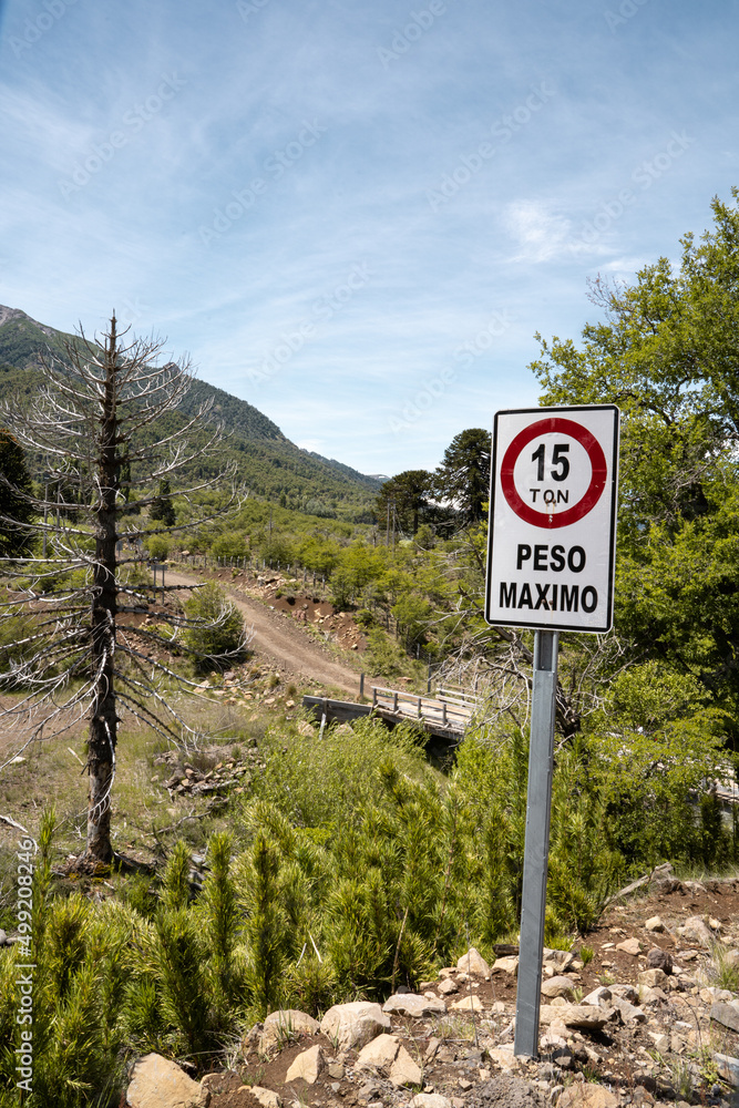 Warning sign in green landscape with mountains and araucaria trees in southern Chile
