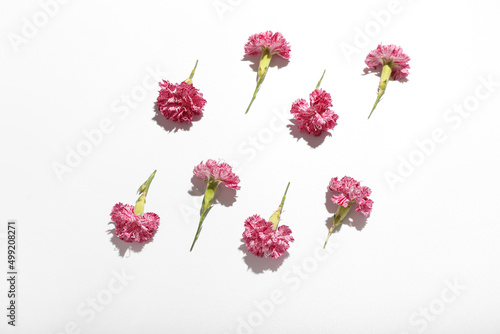 Fototapeta Naklejka Na Ścianę i Meble -  Beautiful carnation flowers isolated on white background