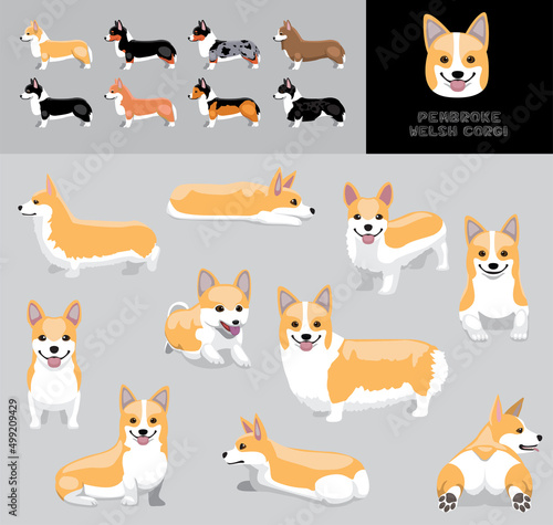 Dog Pembroke Welsh Corgi Fawn Coat Cartoon Vector Illustration Color Variation Set