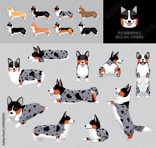 Dog Pembroke Welsh Corgi Blue Merle Tan Point Coat Cartoon Vector Illustration Color Variation Set