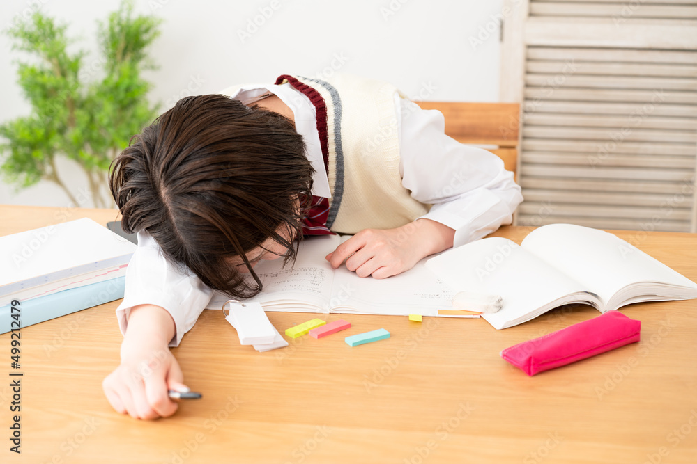 勉強をする女子高生 勉強をする女子高生