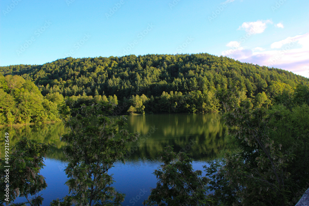 Fototapeta premium 新緑の森を映す湖面 