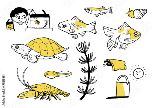 はじめてのアクアリウム