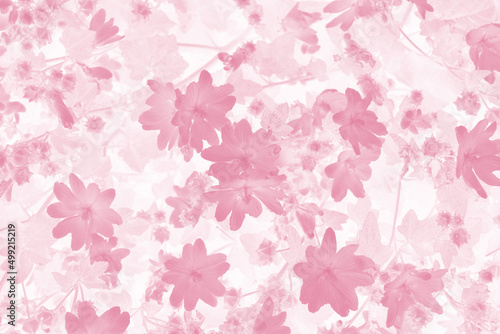Floral background. Leaves and flowers close up  tinted in pink.