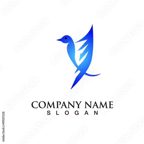 company logo design vector illustration