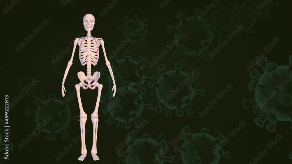 Human skeleton with Coronavirus medical background Human skeleton with Coronavirus medical background