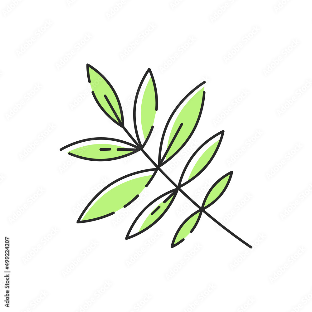 Plant or sprout icon. Vector outline spring leaves silhouette. Simple line art summer modern graphic for web design, mobile app, logo concept.