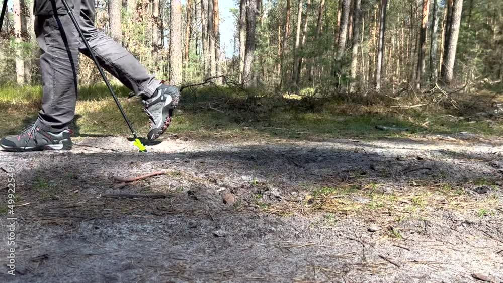 MĘŻCZYZNA UPRAWIAJĄCY NORDIC WALKING. SPACERUJĄCY MĘŻCZYZNA PO LESIE. SPACER PO LESIE W OKRESIE WIOSNY. MĘŻCZYZNA UPRAWIAJĄCY NORDIC WALKING. SPACERUJĄCY MĘŻCZYZNA PO LESIE. SPACER PO LESIE W OKRESIE WIOSNY.