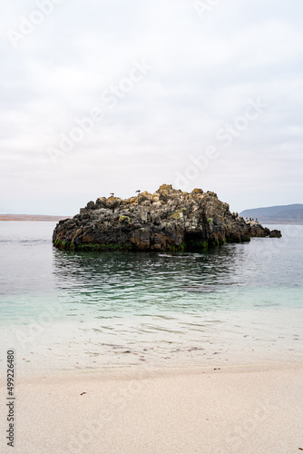 Vertical view of turquoise beach on cloudy day with rocks and seagulls