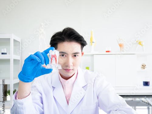 Dentist show dental tooth model for whitening teeth and oral care teaching while wearing hygiene blue gloves in laboratory