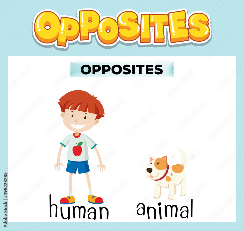 Opposite English words for kids Opposite English words for kids