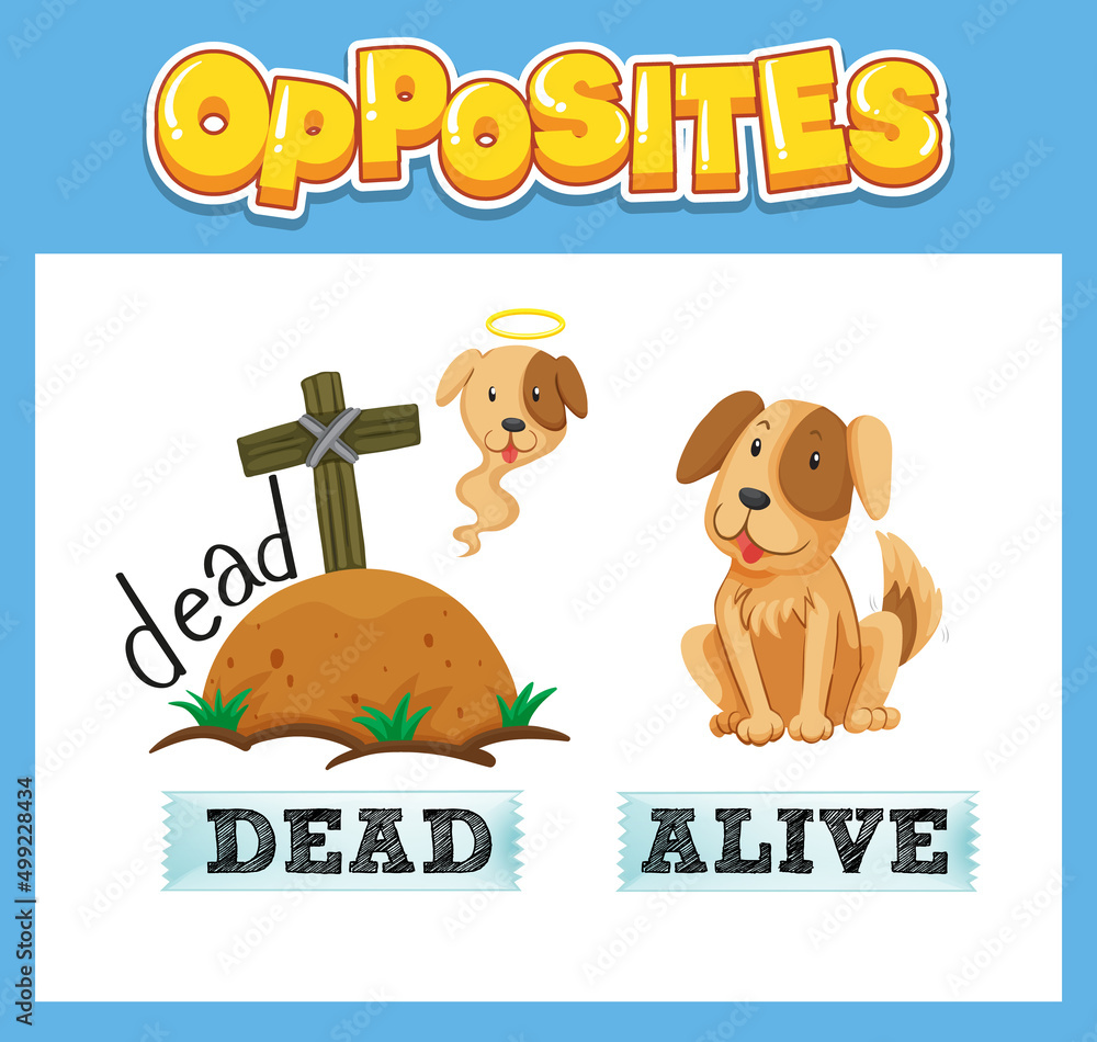 Opposite English words for kids Opposite English words for kids