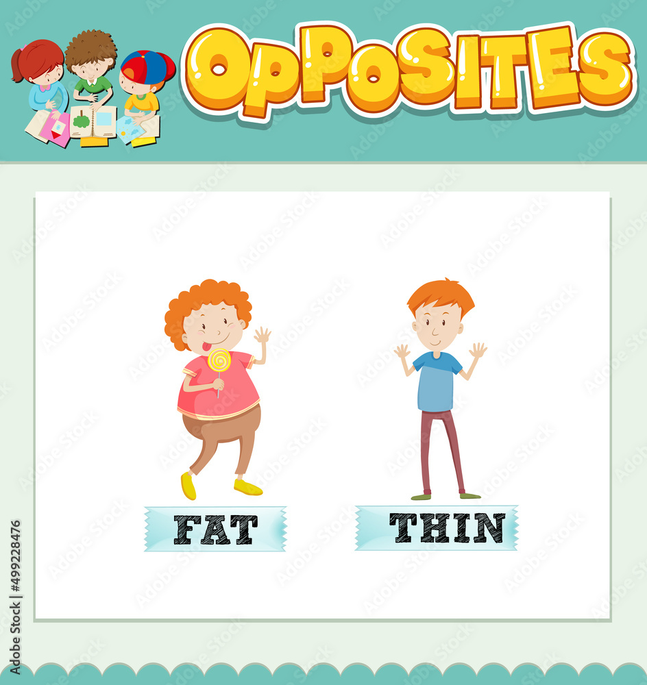 Opposite words for fat and thin