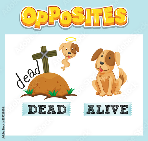 Opposite English words with dead and alive