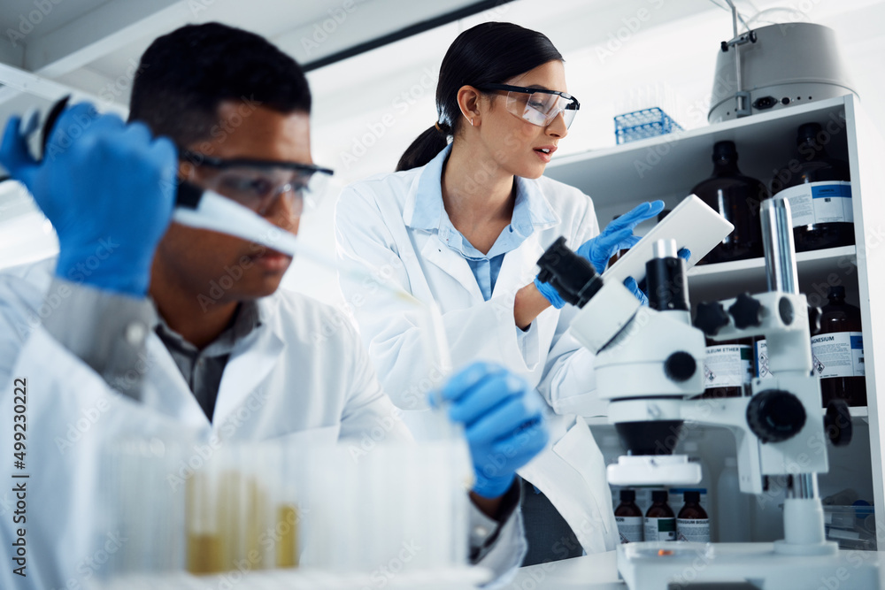 Hard at work in the name of health. Shot of two young scientists using a digital tablet while conducting medical research in a laboratory. Hard at work in the name of health. Shot of two young scientists using a digital tablet while conducting medical research in a laboratory.