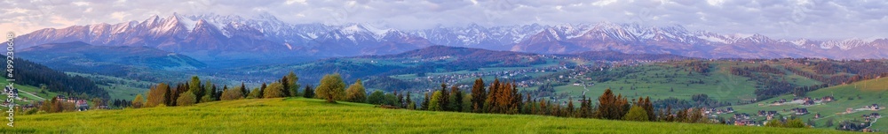 Bardzo szeroka panorama Tatr z drzewami, lasami i łąkami na Podhalu w Polsce. Wczesny poranek na wiosnę, światło świtu