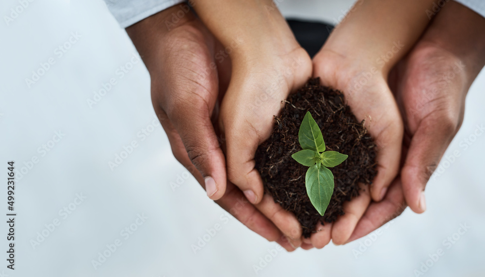 Together we can grow. Cropped shot of an unrecognizable couple holding a plant growing out of soil. Together we can grow. Cropped shot of an unrecognizable couple holding a plant growing out of soil.