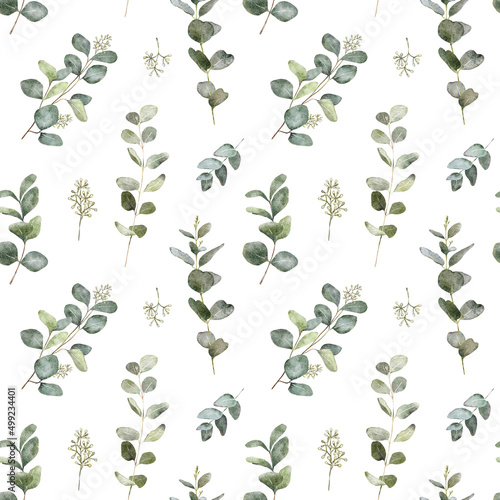 Watercolor seamless pattern with eucalyptus greenery. Hand painted eucalyptus branch and leaves isolated on white background. Floral illustration for design  print  fabric or background