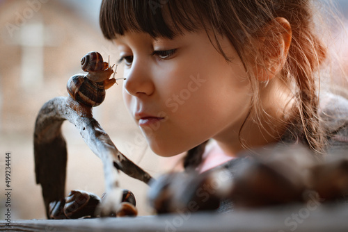 Little girl intently watching small snail crawling along wooden bench while spending time in nature photo