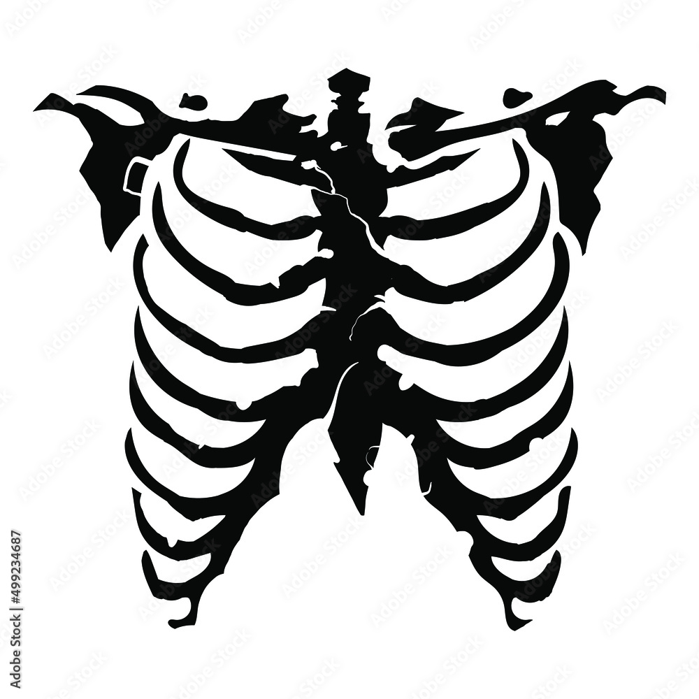 White Chest Bone. T-shirt Print For Horror Or Halloween. Hand Drawing  Illustration Isolated On Black Background. Royalty Free SVG, Cliparts,  Vectors, and Stock Illustration. Image 174540870.