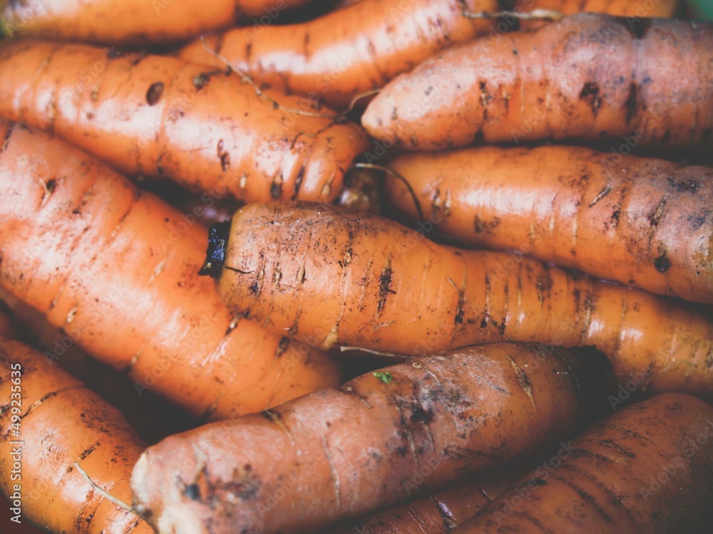 Carrots Carrots