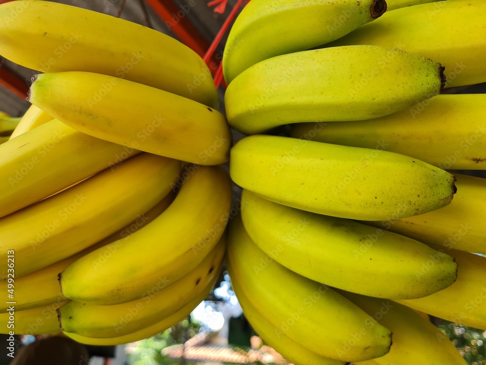 grape banana up close. yellow banana in the market