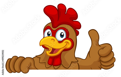 Chicken Rooster Cockerel Bi...