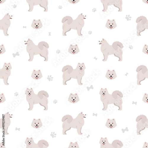 Samoyed dog seamless pattern. Different poses, coat colors set