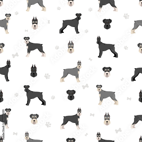 Schhnauzer Standard seamless pattern. Different poses, coat colors set.
