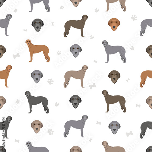 Scottish deerhound seamless pattern. Different poses, coat colors set