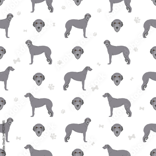 Scottish deerhound seamless pattern. Different poses, coat colors set