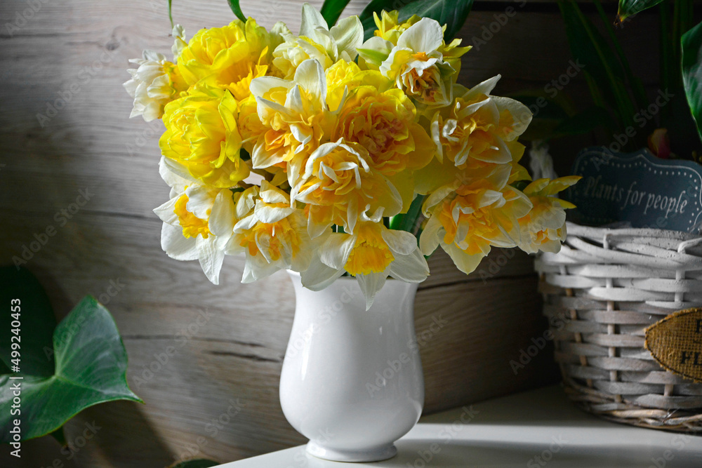 żółte narcyzy w wazonie (Narcissus), Wielkanoc, świąteczna ozdoba, wielkanocna dekoracja, wiosenne kwiaty - obrazy, fototapety, plakaty 