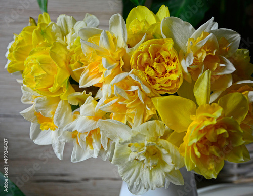 żółte narcyzy w wazonie (Narcissus), Wielkanoc,  wielkanocna dekoracja, wiosenne kwiaty, Easter decoration, bouquet of narcissus,  daffodils in a white vase, bouquet of yellow daffodils.	