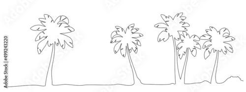 Coconut palm trees, vector illustration in continuous line drawing style.