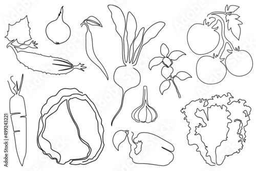 Vegetables silhouettes, set of vector illustrations in continuous line drawing style.