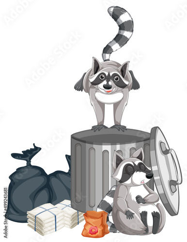 Raccoons searching food by trashcan