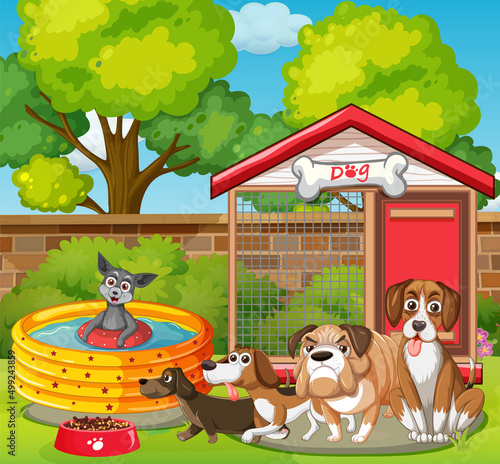 A group of different dog do various activities in the park