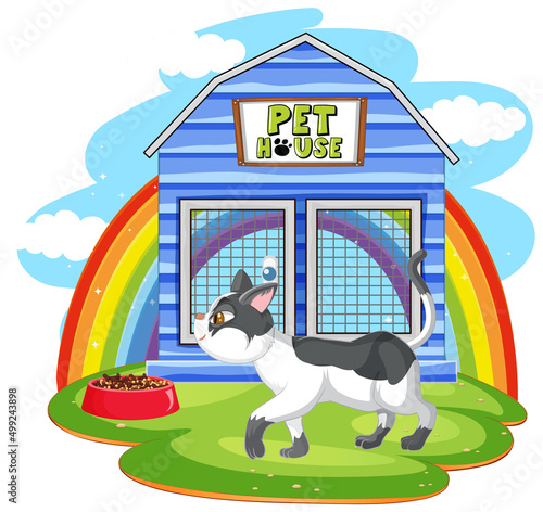 A cat outside the cat house