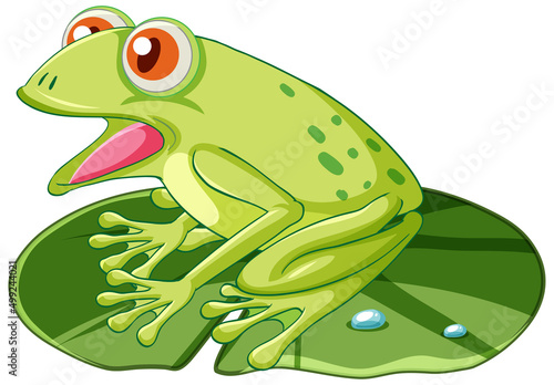 A green frog sitting on lotus leaf