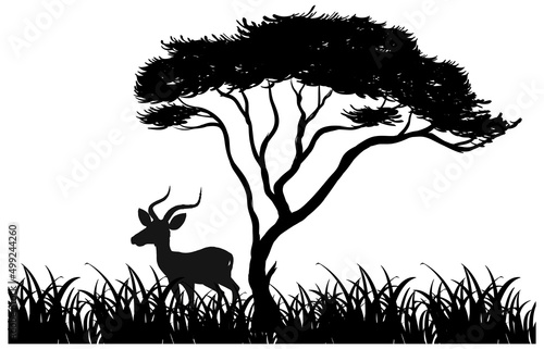 Silhouette animal in nature white background