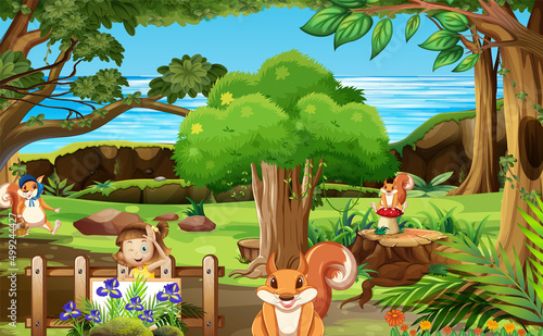 Nature scene with many trees and squirrels