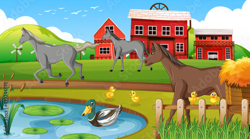 Scene with horses in the farm