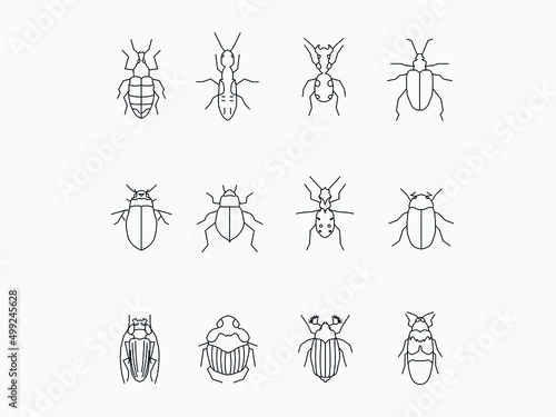 Insects icon. Bugs line icons set. Vector illustration. Editable stroke . infographic icon