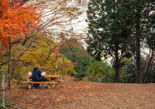 Mitake, Tokyo-Japan, The romatic autumn scenry on the Mitake Mountain, the maple is starting changing its leaf to red color. Many of Japanese come for capming and dating photo
