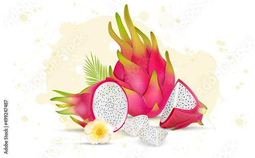 Dragon fruit vector illustration with half piece of dragon fruit and fruit slices