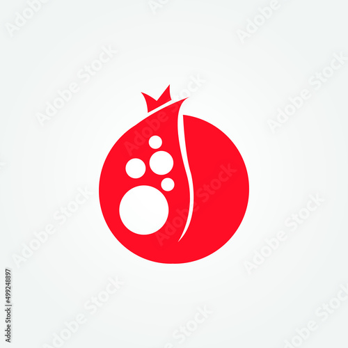 abstract paisley and pomegrante logo