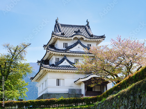 Wallpaper Mural 石垣の上にそびえる美しい宇和島城
 Torontodigital.ca