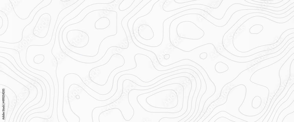 Topographic map. Geographic mountain relief. Abstract concept graphic element and geography scheme, topographic map and landscape terrain texture grid., abstract white topography vector background. Topographic map. Geographic mountain relief. Abstract concept graphic element and geography scheme, topographic map and landscape terrain texture grid., abstract white topography vector background.